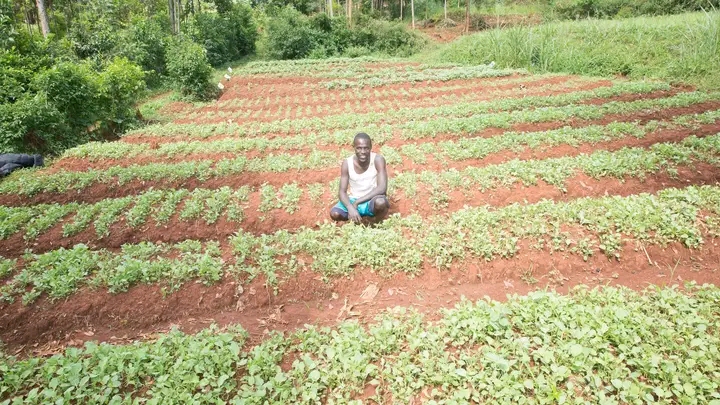 Paul farming 